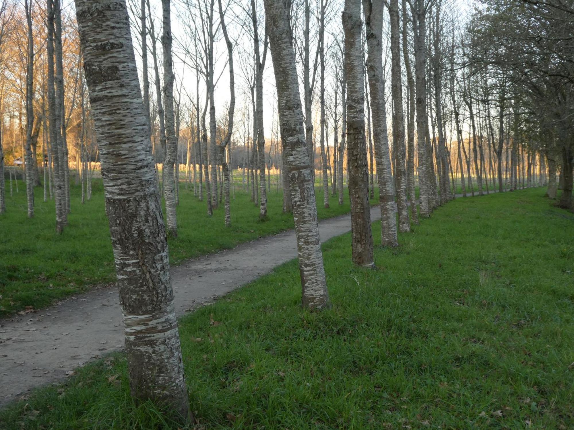 Casita A Estrenar En Finca Con Rio Proxima A Tui, Gondomar Y Portugal. Luaran gambar